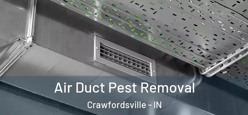  Air Duct Pest Removal Crawfordsville - IN