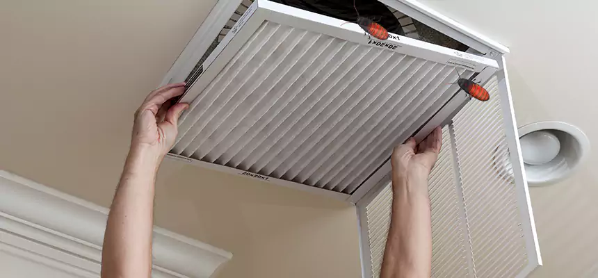 Preventive Cockroach-Proofing for Ducts in Crawfordsville