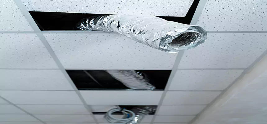 Affordable HVAC Sanitizing After Pest Removal in Crawfordsville