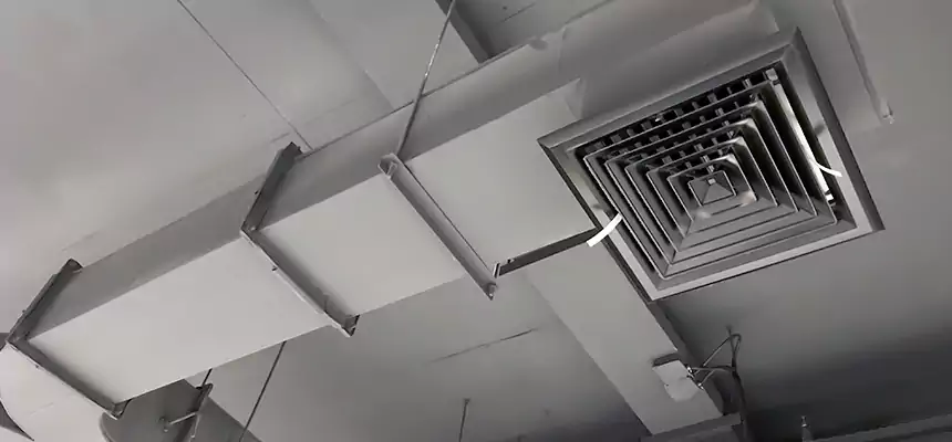 Restorative Allergy Relief Vent Cleaning – Coil, Blower & Housing Detail in Crawfordsville