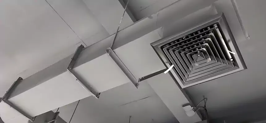 Our Pest Removal From Ducts Services in Crawfordsville, IN