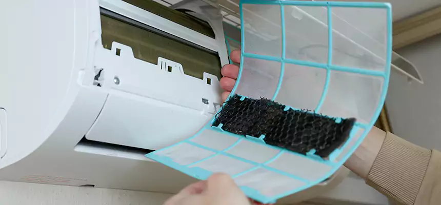 Gentle Ductwork Odor-Control Pet Dander Duct Cleaning in Crawfordsville, IN