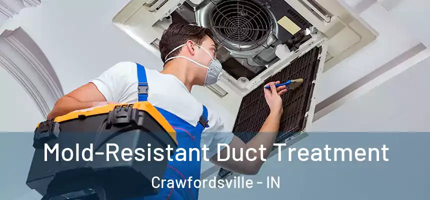  Mold-Resistant Duct Treatment Crawfordsville - IN