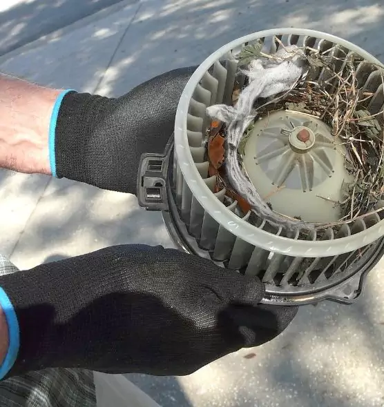 About Air Duct Mice Removal in Crawfordsville, IN