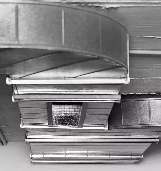 Professional Air Duct Pet Hair Removal in Crawfordsville, IN