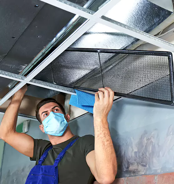 Professional Air Duct Pollen Cleaning in Crawfordsville, IN